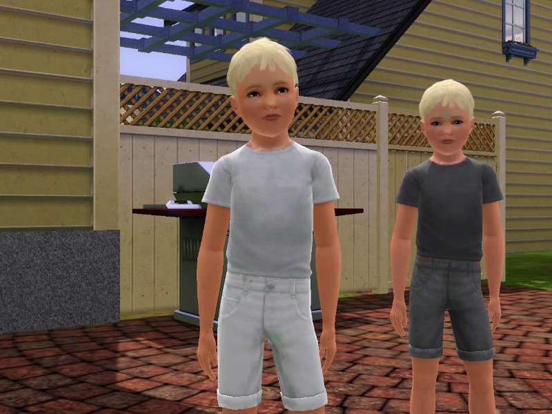 How To Have Twins Or Triplets In Sims 3 Xbox