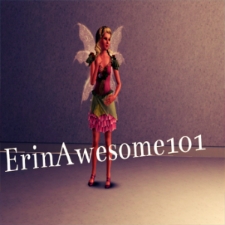 ErinAwesome101