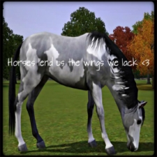horserider3573