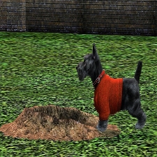 Scottish Terrier by Ookami11666 - The Exchange - Community ...